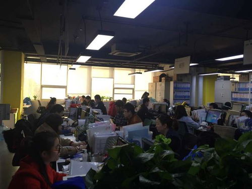 专业商务谈判口译，译铭翻译 为企业国际化进程注入精准沟通动力