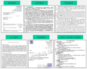 南昌翻译公司哪家好？本地与跨区域服务选择指南